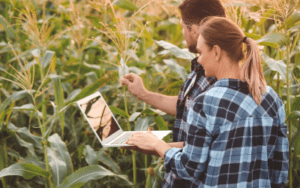 Proteja seu Agronegócio com CFTV