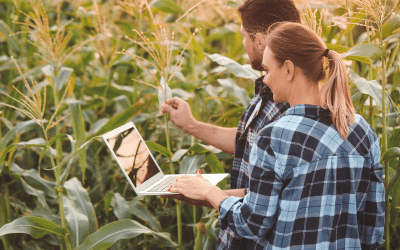Proteja seu Agronegócio com CFTV